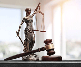 Our lawyers handle drafting, filing and represent clients across courts and authorities. Best Lawyer in Delhi