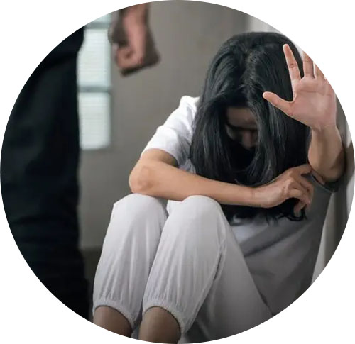 Delhi Lawyer for Domestic Violence Cases