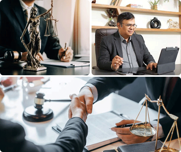 Professional high court lawyer in Delhi