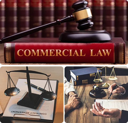 Intellectual Property Lawyer in Delhi