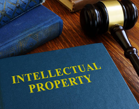 Best Advocate in Delhi for Property Case