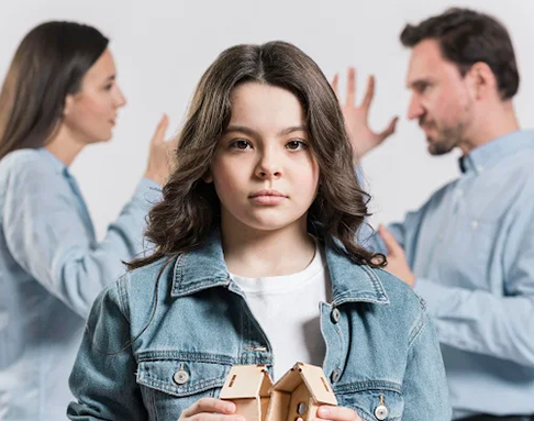 Delhi High Court Lawyer