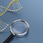 DNA Paternity Tests