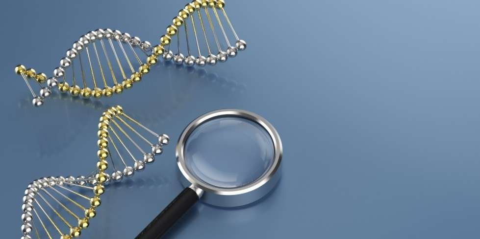 DNA Paternity Tests