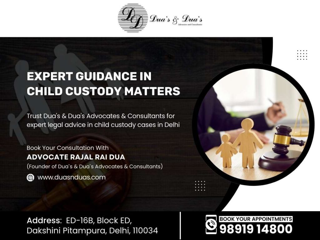 Expert Guidance in Child Custody Matters